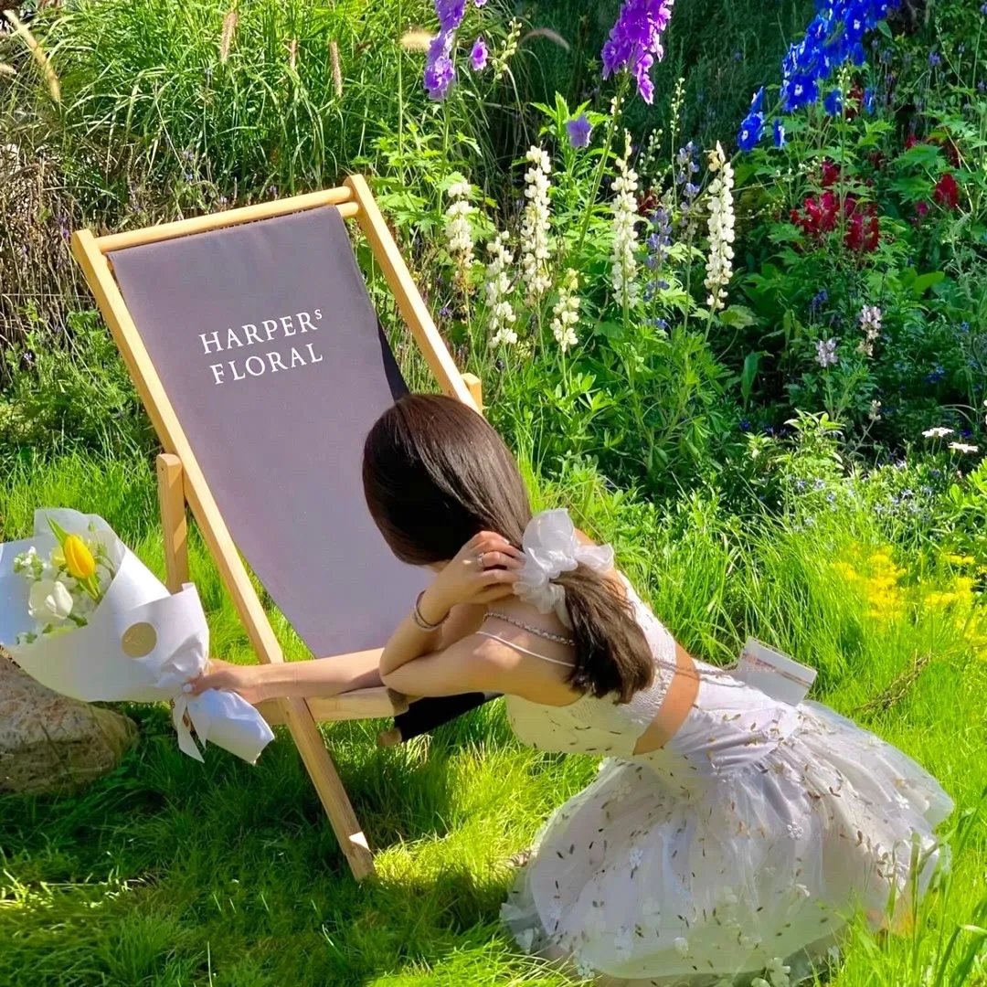 进入帅府后我杀疯了